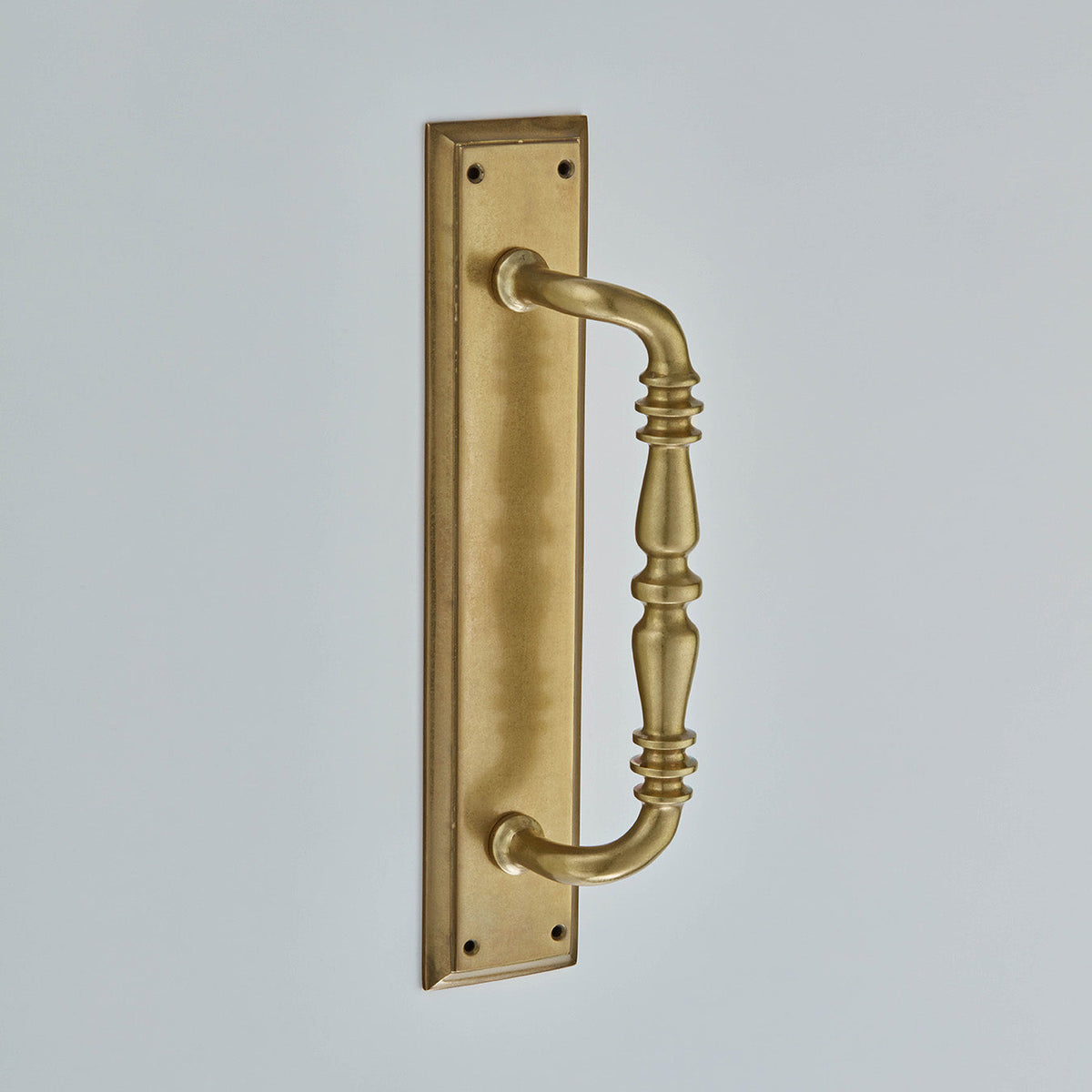 Ornate Pull Handle On Plate