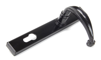 Cottage Slimline Lever Espag. Lock Set by From The Anvil