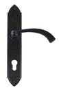 From The Anvil's Black Gothic Curved Lever Espag. Lock Set