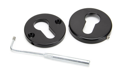 Regency Concealed Escutcheon by From The Anvil