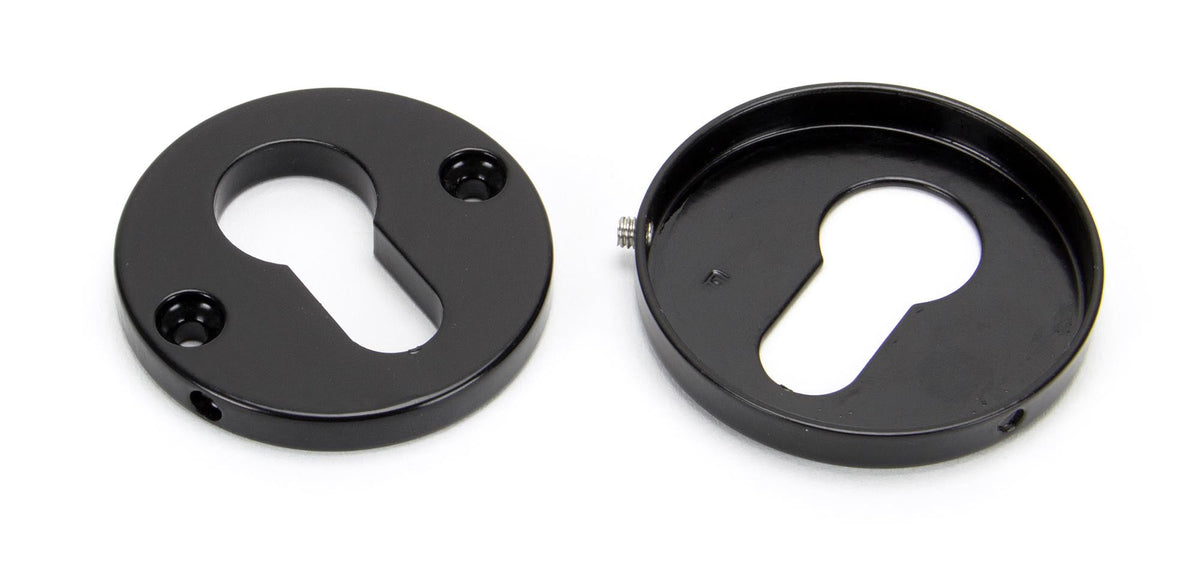 Regency Concealed Escutcheon by From The Anvil