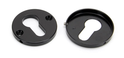 Regency Concealed Escutcheon by From The Anvil
