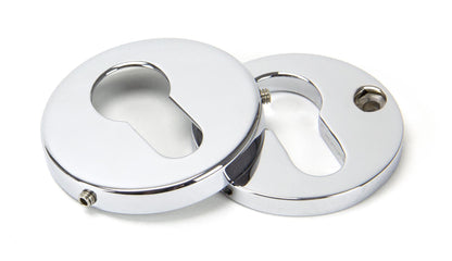 Regency Concealed Escutcheon by From The Anvil