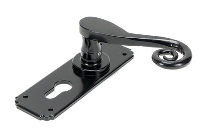Monkeytail Lever Euro Lock Set by From The Anvil