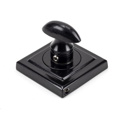 Concealed Round Thumbturn Set by From The Anvil