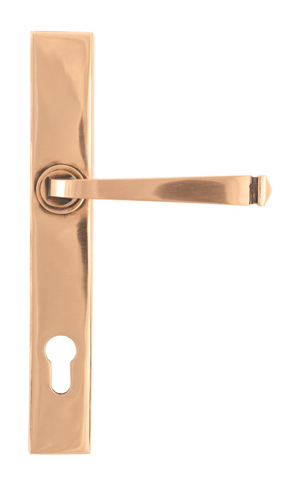 Avon Slimline Lever Espag. Lock Set by From The Anvil