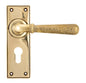 From The Anvil's Aged Brass Hammered Newbury Lever Euro Lock Set
