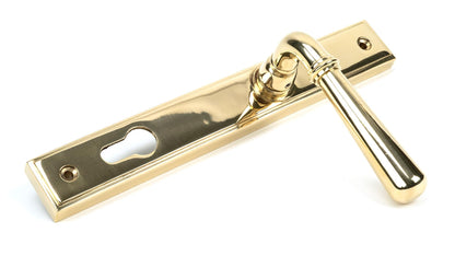 Newbury Slimline Lever Espag. Lock Set by From The Anvil