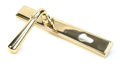 Newbury Slimline Lever Espag. Lock Set by From The Anvil
