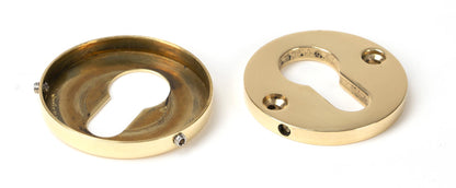 Regency Concealed Escutcheon by From The Anvil
