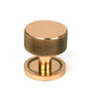 From The Anvil's Polished Bronze 32mm Brompton Cabinet Knob