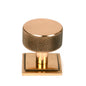 From The Anvil's Polished Bronze 32mm Brompton Cabinet Knob
