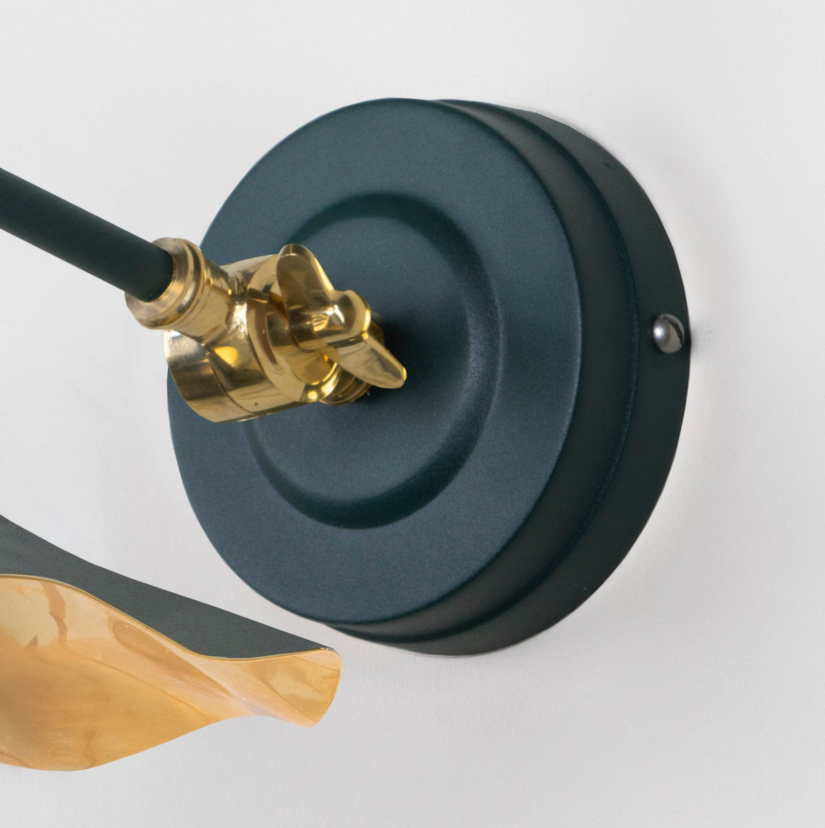 Smooth Brass Flora Wall Light by From The Anvil