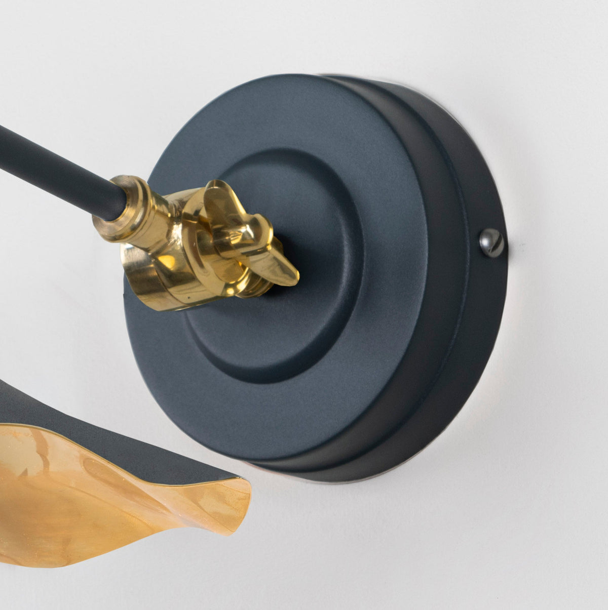 Smooth Brass Flora Wall Light by From The Anvil