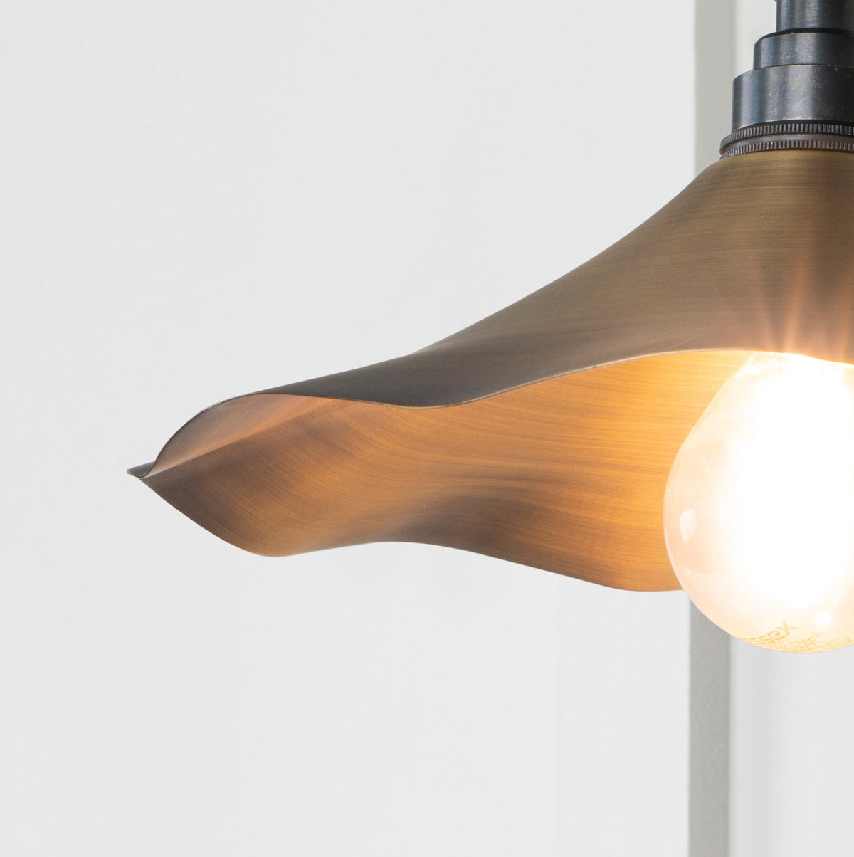 Aged Brass Flora Wall Light by From The Anvil