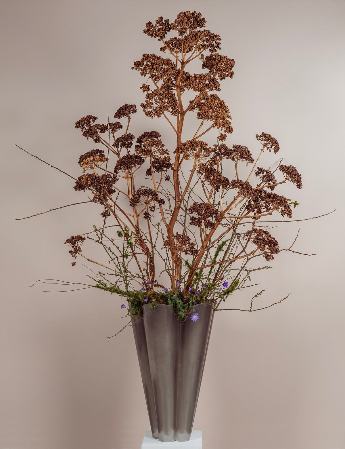 Stainless Steel Flora Plant Pot by From The Anvil