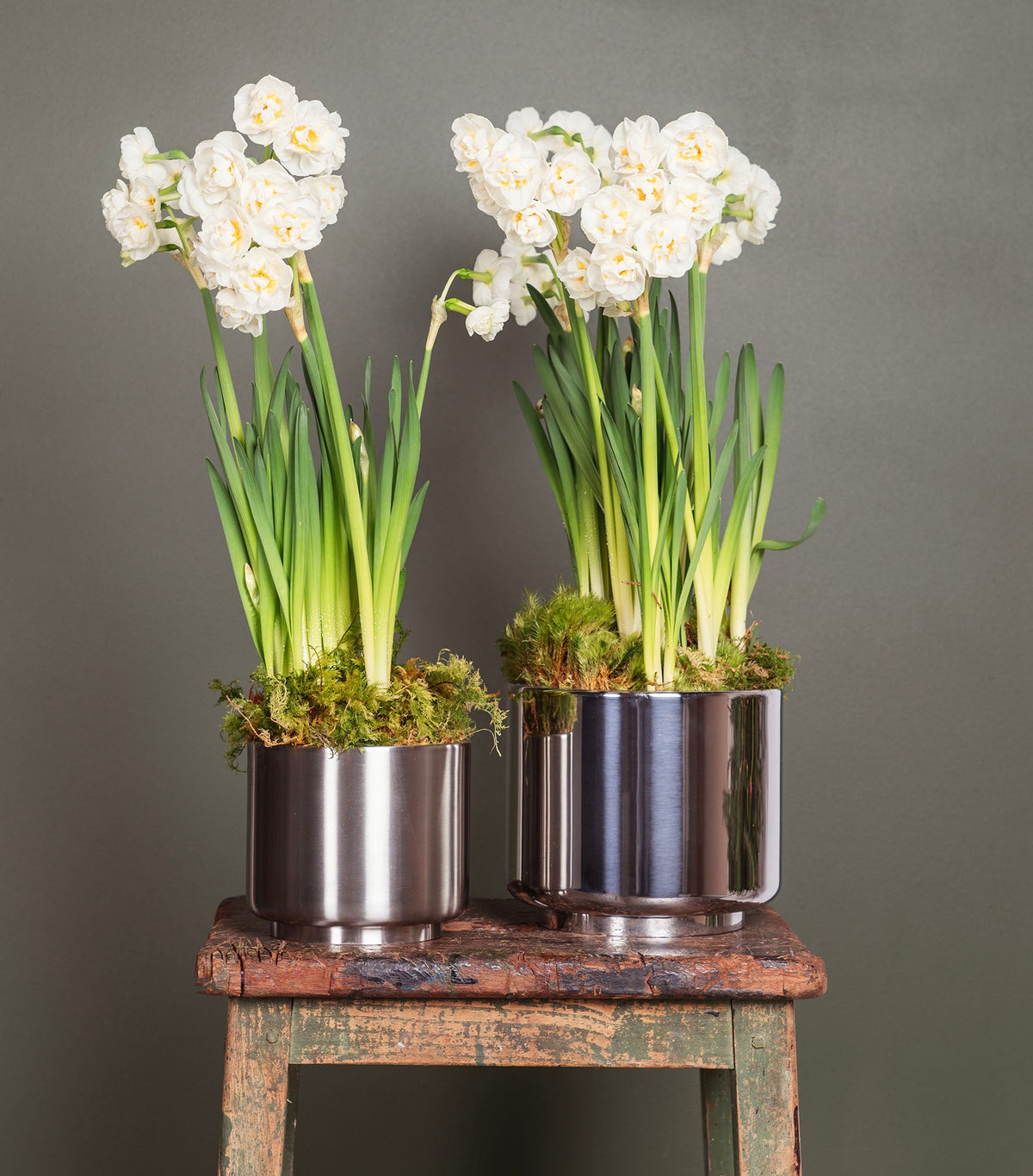 Newlyn Pot by From The Anvil