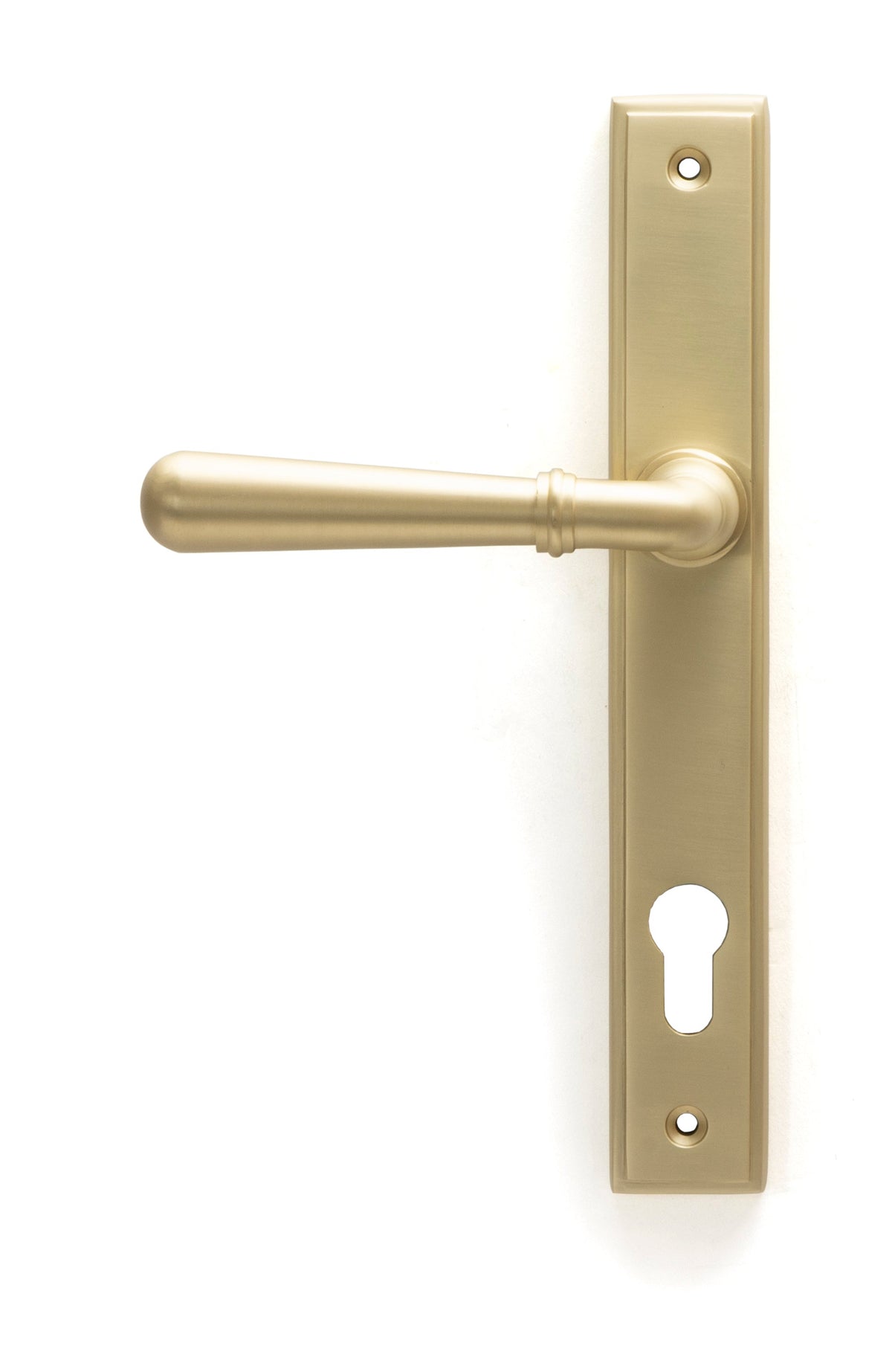 Newbury Slimline Lever Espag. Lock Set by From The Anvil