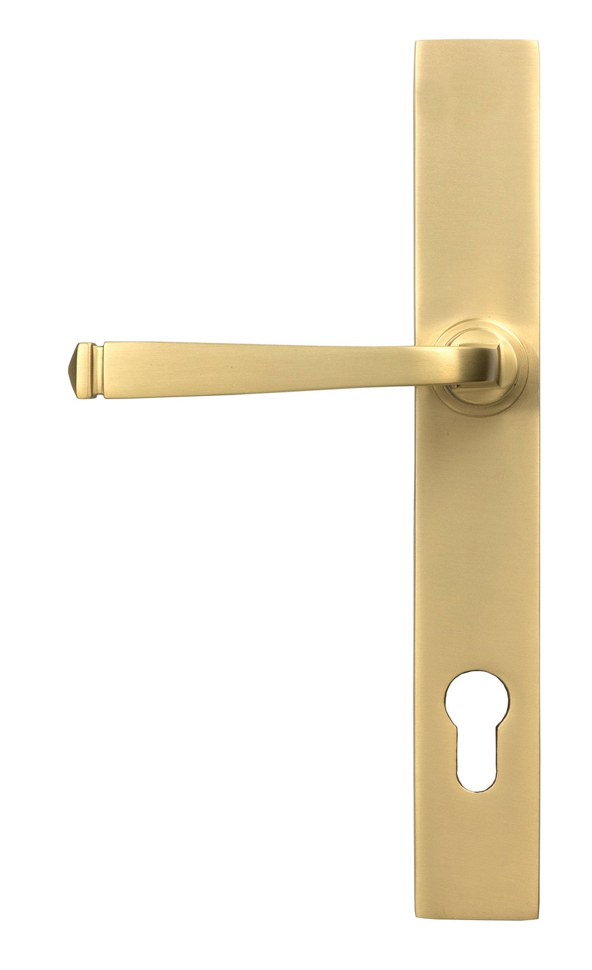 Avon Slimline Lever Espag. Lock Set by From The Anvil