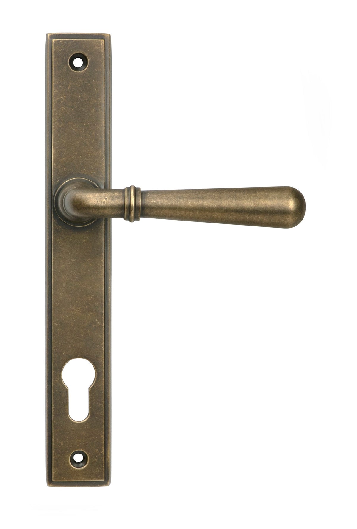 From The Anvil's Burnished Brass Newbury Slimline Lever Espag. Lock Set