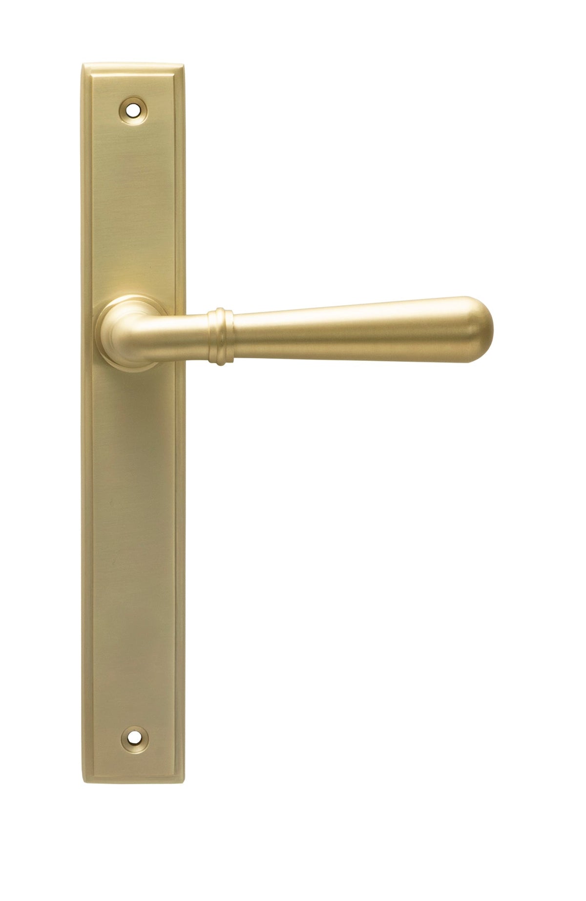 From The Anvil's Satin Brass Newbury Slimline Lever Espag. Latch Set