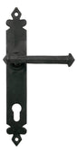 From The Anvil's External Beeswax Tudor Lever Espag. Lock Set