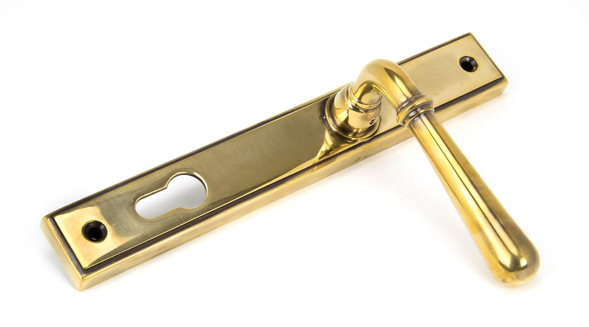 Newbury Slimline Lever Espag. Lock Set by From The Anvil