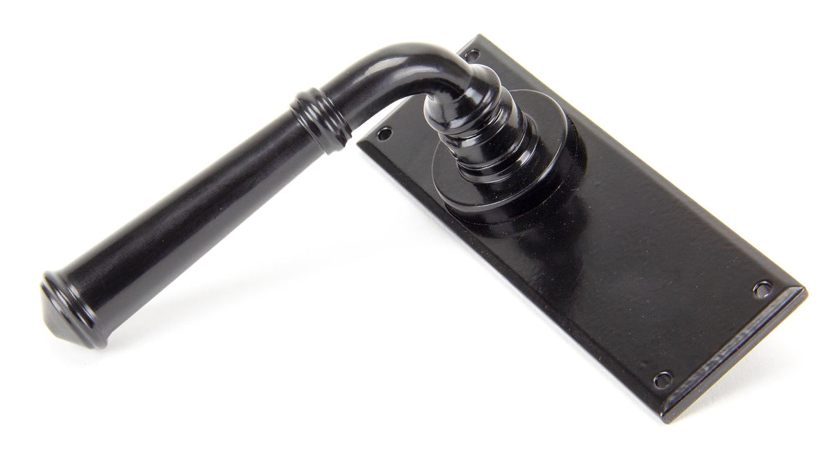 Regency Lever Latch Set by From The Anvil