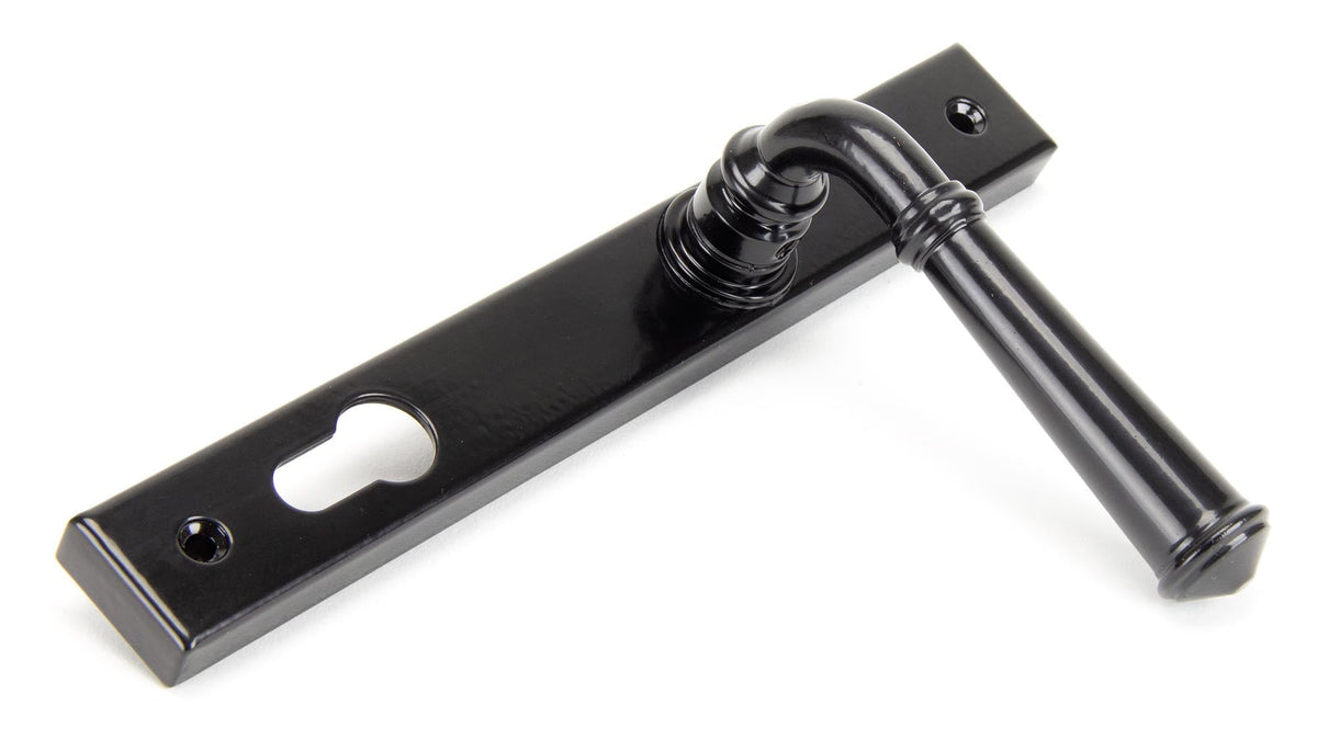 Regency Slimline Lever Espag. Lock Set by From The Anvil
