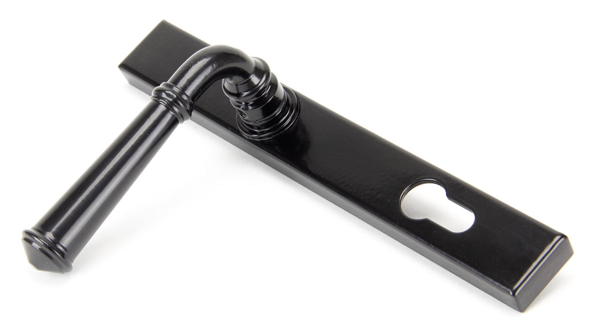 Regency Slimline Lever Espag. Lock Set by From The Anvil