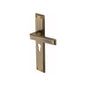 Atlantis Long Door Handle on Plate by M Marcus - Heritage Brass