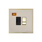 Executive Range Satin Nickel with Polished Brass Switches & Sockets, EX15 - Switched Spur with Neon (13 Amp) by Heritage Brass By M-Marcus