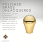 Croft - Shell Turn & Release on Reeded Covered Rose 2266 by Croft Ironmongery