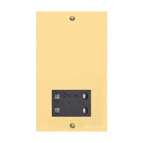 Victorian Elite Range Polished Brass Switches & Sockets, R01 - Shaver Socket Output Voltage 110/240V by Heritage Brass By M-Marcus