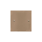 Victorian Elite Range Antique Brass Switches & Sockets, R91 - Single Blank Plate by Heritage Brass By M-Marcus
