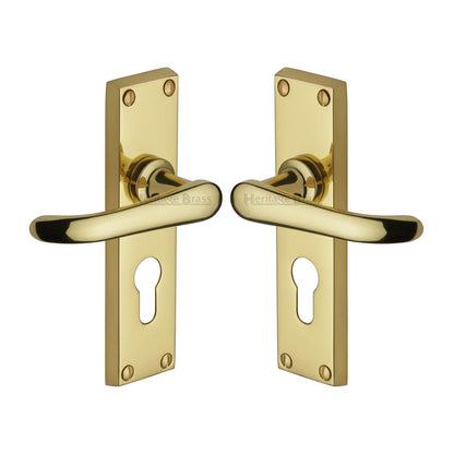 Windsor Door Handle on Plate