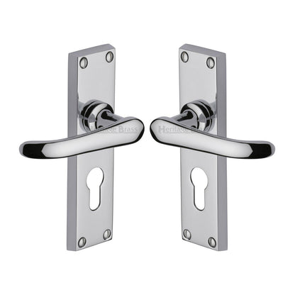 Windsor Door Handle on Plate