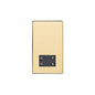 Studio Range Polished Brass Switches & Sockets, Y01 - Shaver Socket Output Voltage 110/240V by Heritage Brass By M-Marcus