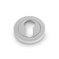 Alexander & Wilks Concealed Fix Escutcheon Euro Profile by Alexander & Wilks