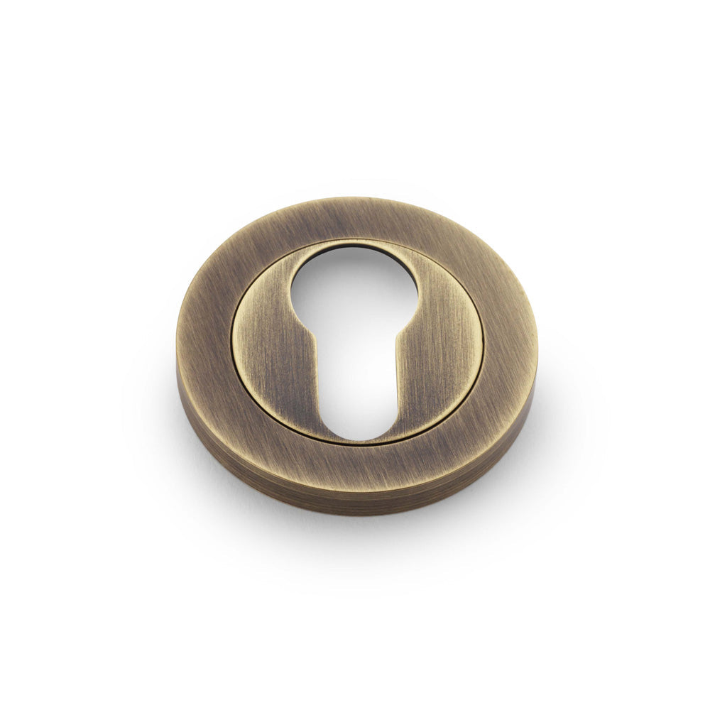 Alexander & Wilks Concealed Fix Escutcheon Euro Profile by Alexander & Wilks