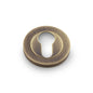 Alexander & Wilks Concealed Fix Escutcheon Euro Profile by Alexander & Wilks