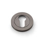 Alexander & Wilks Concealed Fix Escutcheon Euro Profile by Alexander & Wilks
