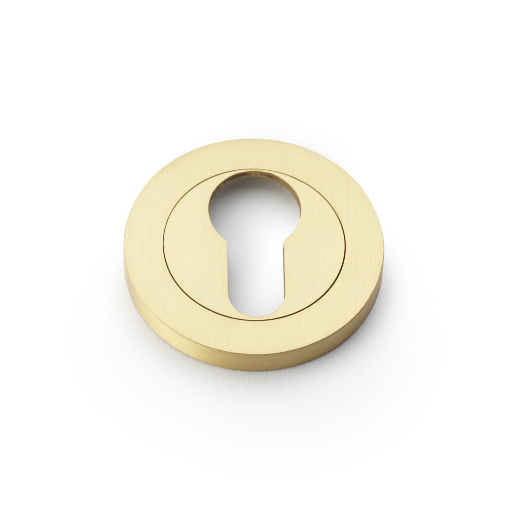 Alexander & Wilks Concealed Fix Escutcheon Euro Profile by Alexander & Wilks