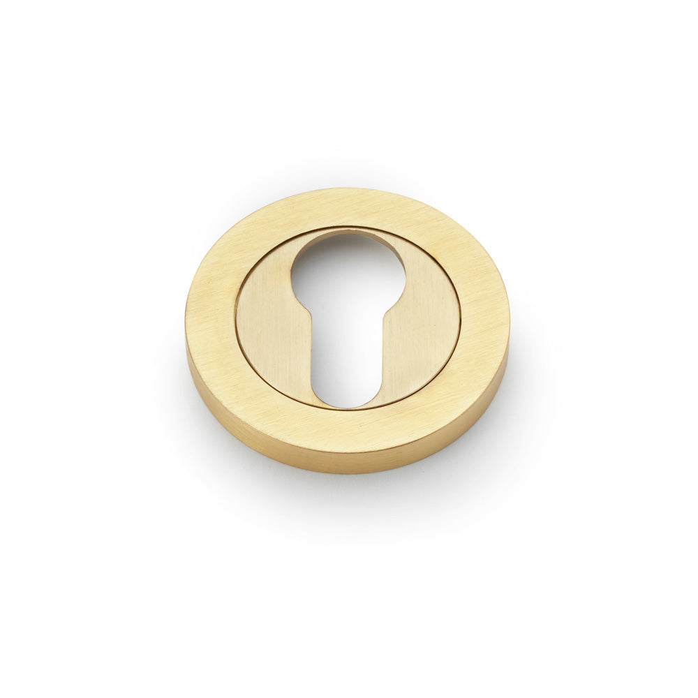 Alexander & Wilks Concealed Fix Escutcheon Euro Profile by Alexander & Wilks