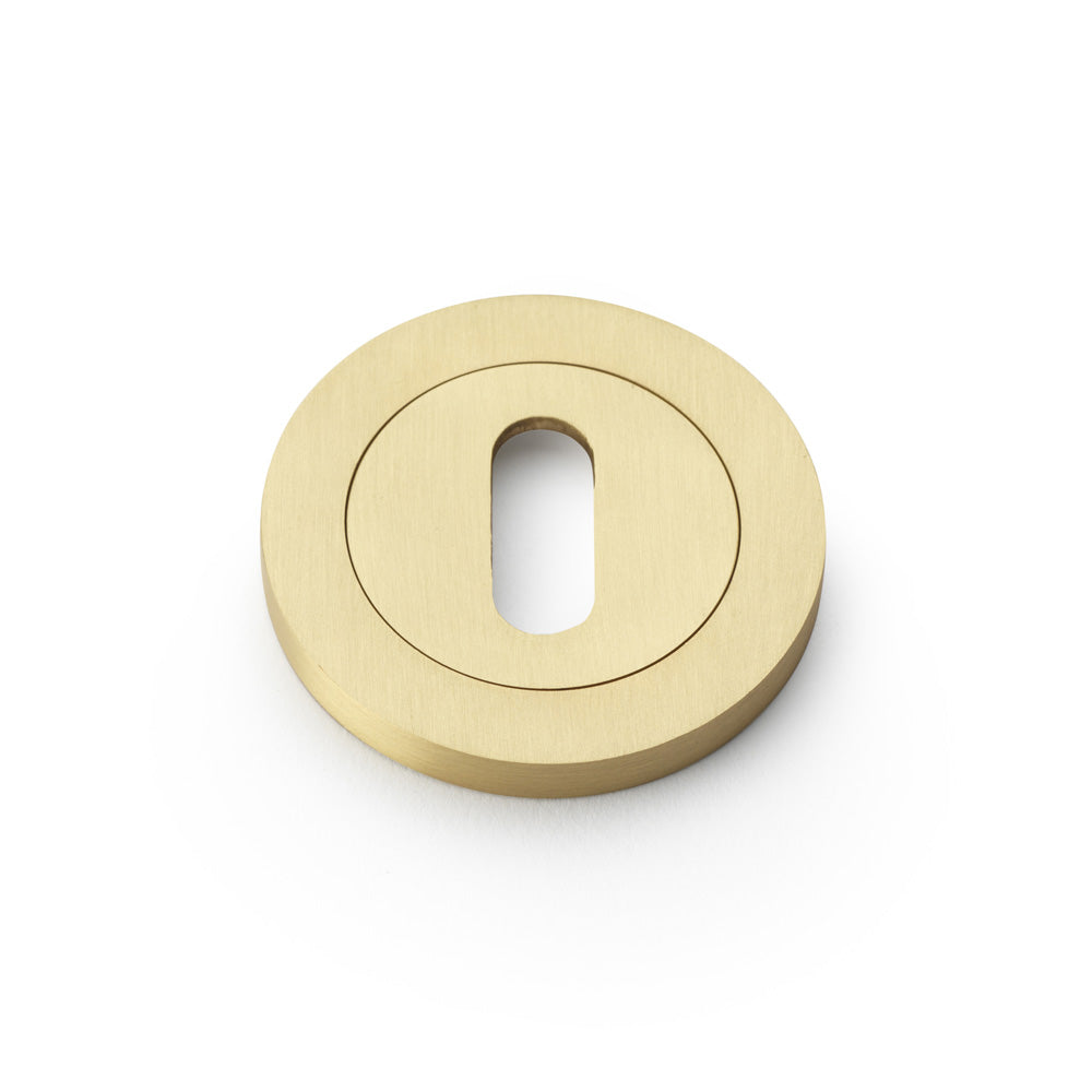 Alexander & Wilks Concealed Fix Escutcheon Standard Profile by Alexander & Wilks