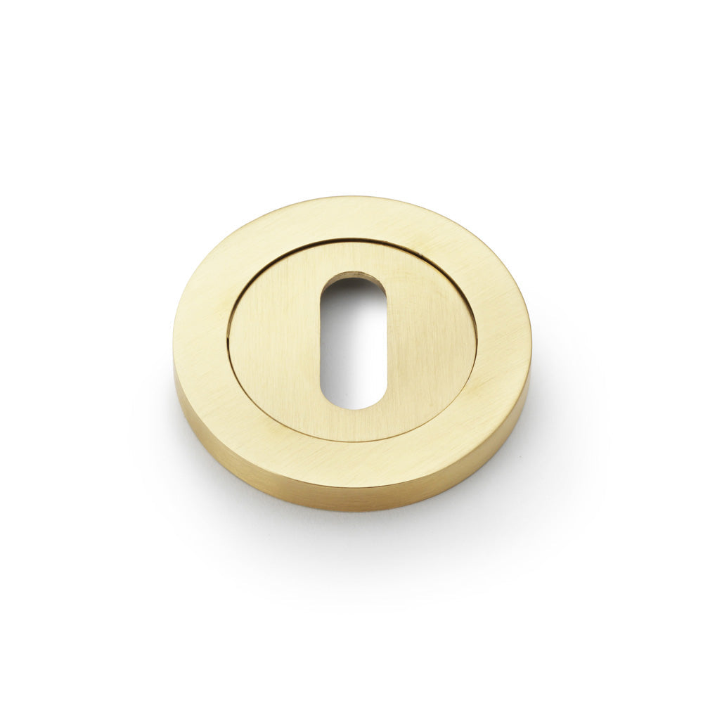Alexander & Wilks Concealed Fix Escutcheon Standard Profile by Alexander & Wilks