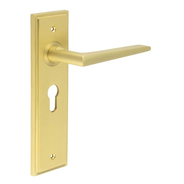 Burlington Mayfair Door Handles Euro Backplate by Burlington By Frelan
