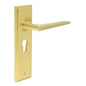 Burlington Mayfair Door Handles Euro Backplate by Burlington By Frelan