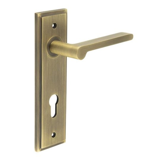 Burlington Fitzrovia Door Handle Din Euro Backplate by Burlington By Frelan