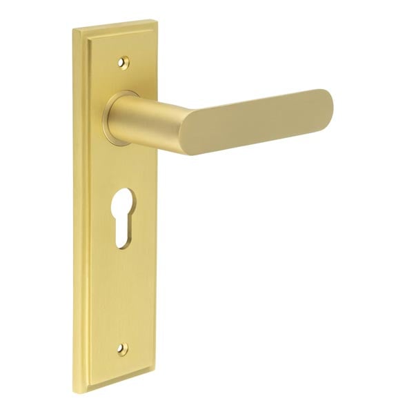 Burlington Kensington Door Handle Euro Backplate by Burlington By Frelan